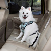 Plaid Car Harness
