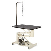 Z-Lift Electric Dog Grooming Table in Ivory