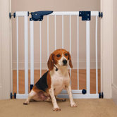 Pressure Mounted Gate in White