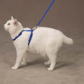 Nylon Cat Lead