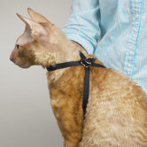 Adjustable Nylon Grooming Cat Harness