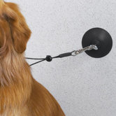 Dog  Suction Cup