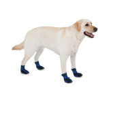 High Top Neoprene Dog Boots