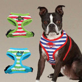 Beachcomber Harness
