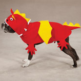 Dragon Dog Costume