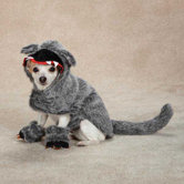 Big Bad Woof Dog Costume