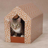 Scratch N' Shack Cardboard