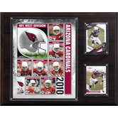 NFL 2010 Team Plaque