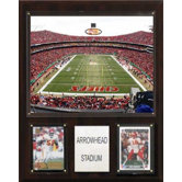 NFL 12" x 15" Stadium Plaque