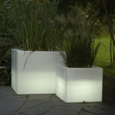 Cubotti Planter with Light