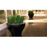Ming Large Planter