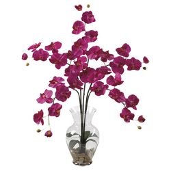 Phalaenopsis Orchid Arrangement in Pink