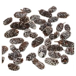Frosted Birch Cones in Brown (Set of 6)