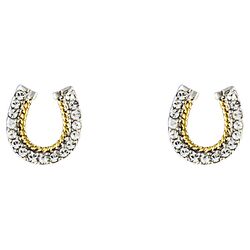 Horseshoe Rope Earrings in Gold & Silver