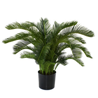 Flora Novara Artificial Sago Cycas Palm Plant