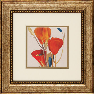 Propac Images Grandiflorum I / II Framed Art (Set of 2)