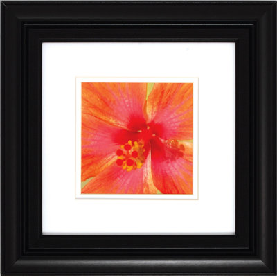 Propac Images King Floral I / II Wall Art (Set of 2)