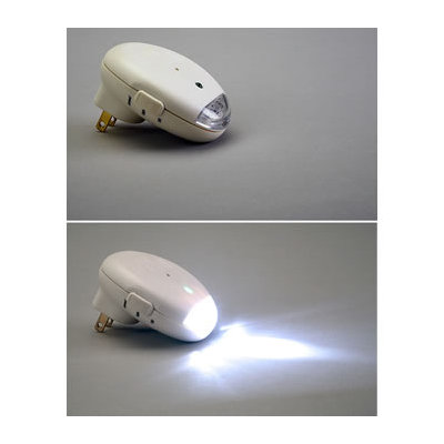 Reliance Controls PowerOut Power Failure Alarm and LED
