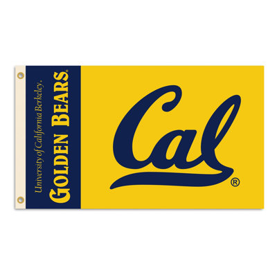 BSI Products NCAA Traditional Flag