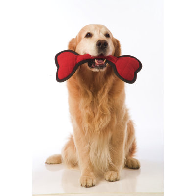 Tuff Enuff Bone Dog Toy