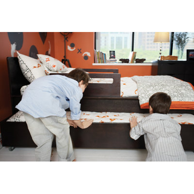 Argington Ayres Twin Bed in Ebony