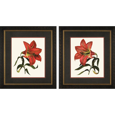 Phoenix Galleries Red Lily Framed Prints