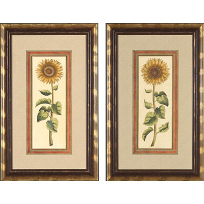 Phoenix Galleries Sunflower Framed Prints