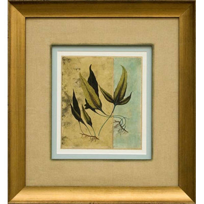Phoenix Galleries Tropical Fern Framed Prints