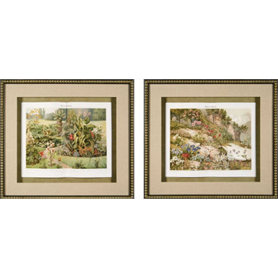 Phoenix Galleries Garden Plants Framed Prints
