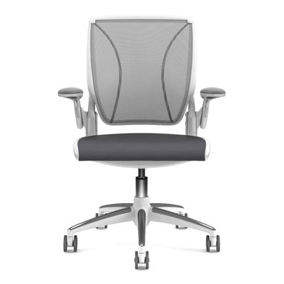 Humanscale Diffrient World Office Chair