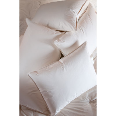 Ogallala Comfort Company Double Shell 800 Hypo-Blend Firm Pillow
