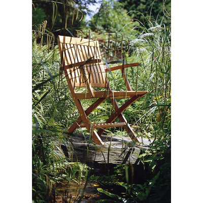 Barlow Tyrie Teak Monaco Carver Folding Dining Arm Chair with Cushion