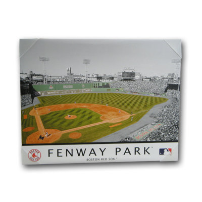 Artissimo Designs MLB Stadium Canvas Wall Art
