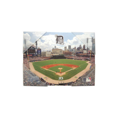 Artissimo Designs MLB Stadium Canvas Wall Art