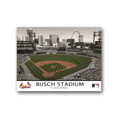 Artissimo Designs MLB Stadium Canvas Wall Art