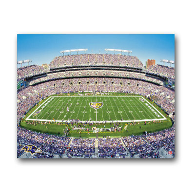 Artissimo Designs NFL Stadium Canvas Art