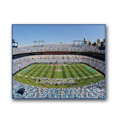 Artissimo Designs NFL Stadium Canvas Art