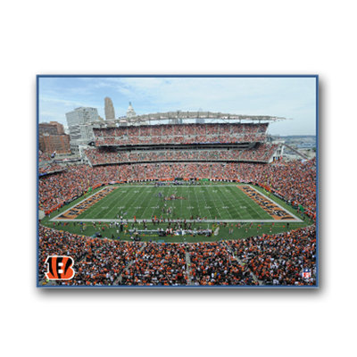 Artissimo Designs NFL Stadium Canvas Art