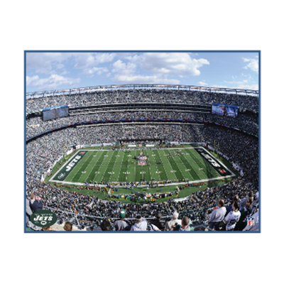 Artissimo Designs NFL Stadium Canvas Art