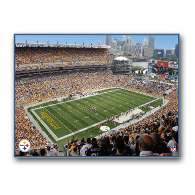 Artissimo Designs NFL Stadium Canvas Art