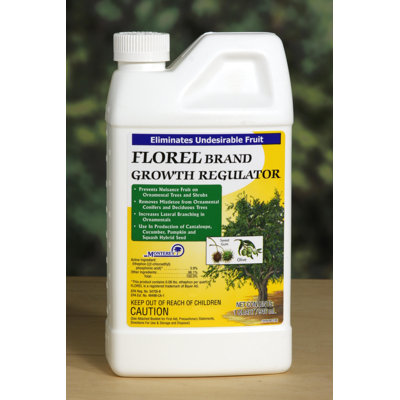 Monterey Floral Brand Concentrate Growth Regulator
