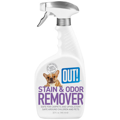 Out Dog Stain and Odor Remover