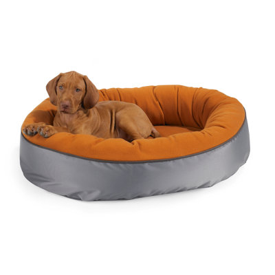 Bowsers Orbit Dog Bed