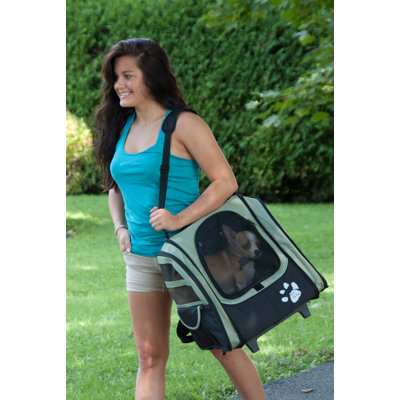 Pet Gear I-GO2 Traveler Pet Carrier in Sage