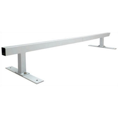 Razor Silver RipStik Caster Board