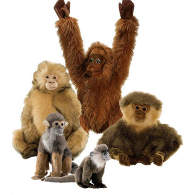 http://img3.wfrcdn.com/lf/49/hash/1524/542842/1/Monkey+Stuffed+Animal+Collection+III.jpg