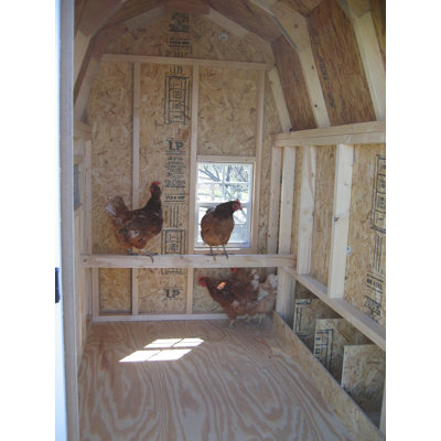 Little Cottage Company 4 x 6 Colonial Gable Chicken Coop