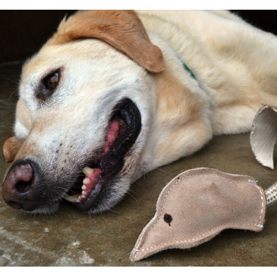 ABO Gear Jute Pheasant Dog Toy