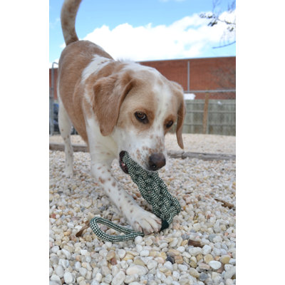 ABO Gear Dummy Dog Toy