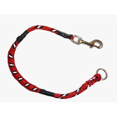 EZYDog Mongrel Neo Leash with Leash Extension in Red